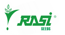 Logo 10