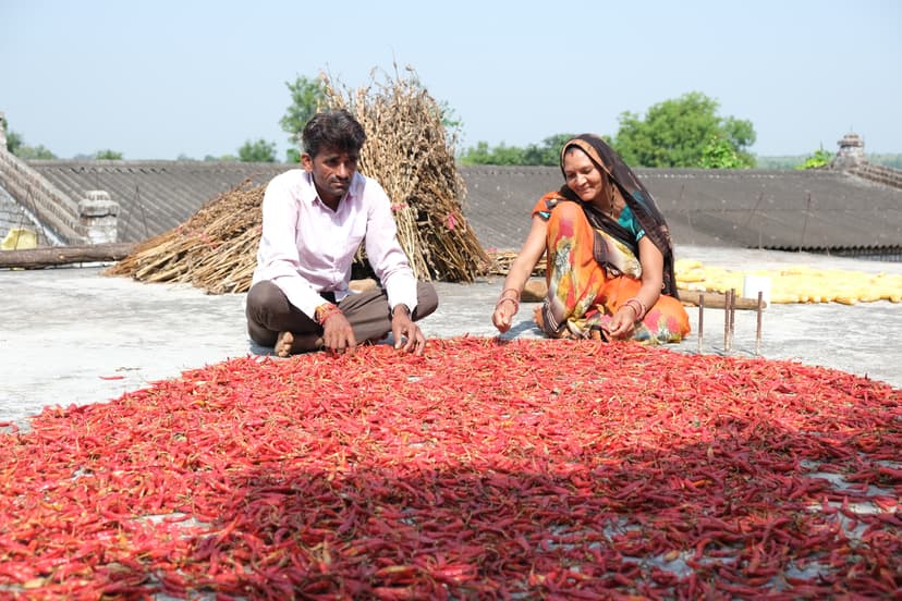 Farming Field