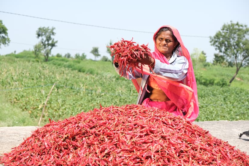 Farming Field