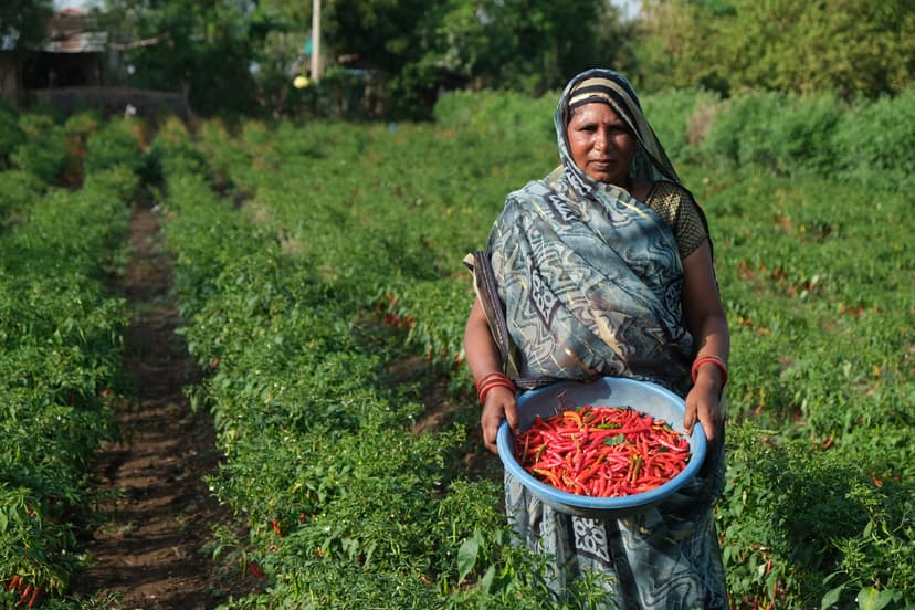 Farming Field