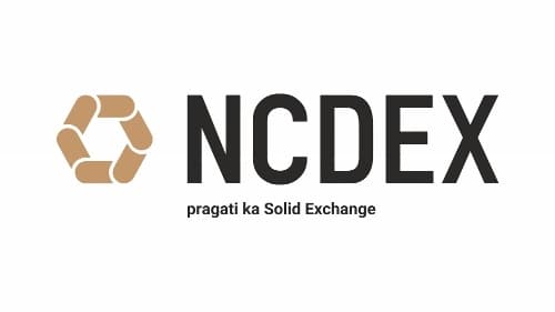 Excellence in Workplace Culture Award – NCDEX