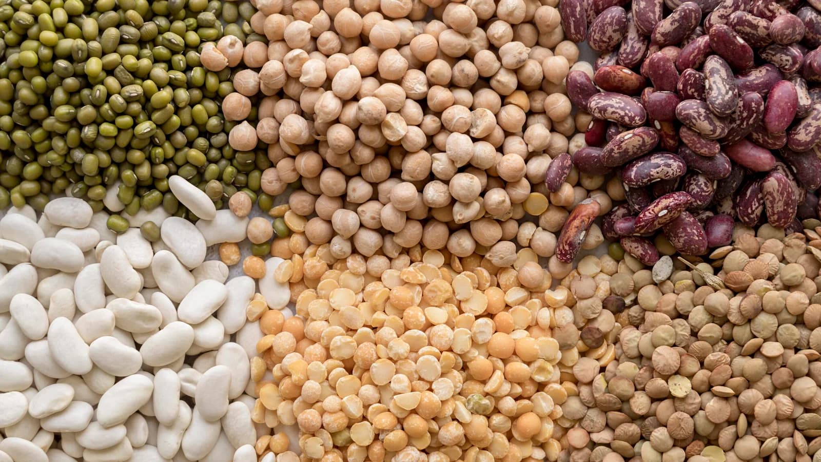 Cereals and Pulses