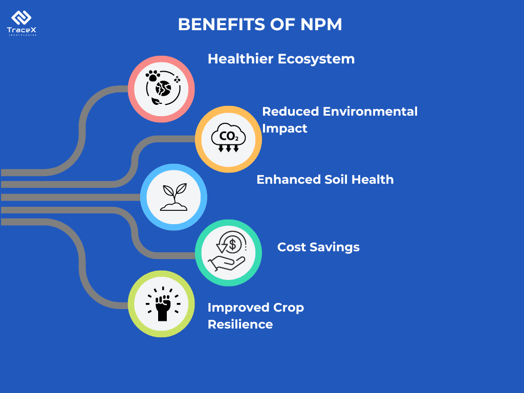 NPM Illustration