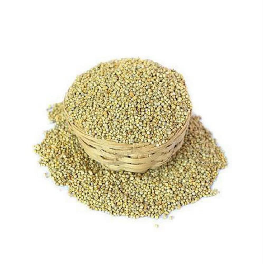 Pearl Millet