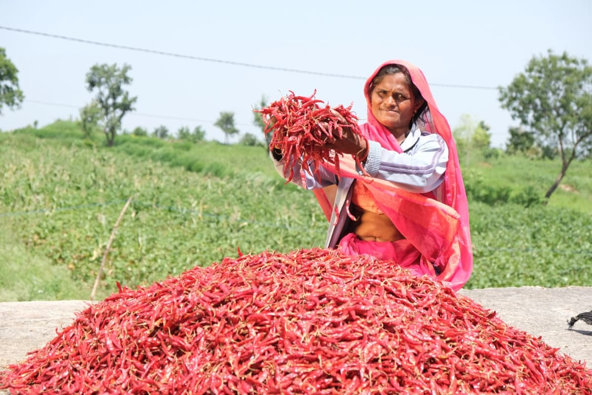 Red Chilly