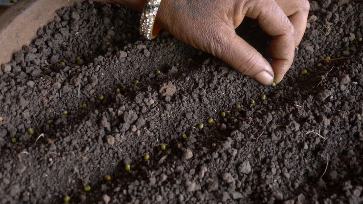 Agri Inputs