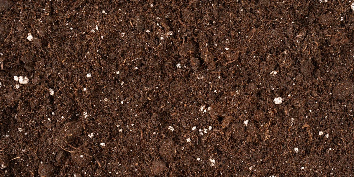 Land Preparation